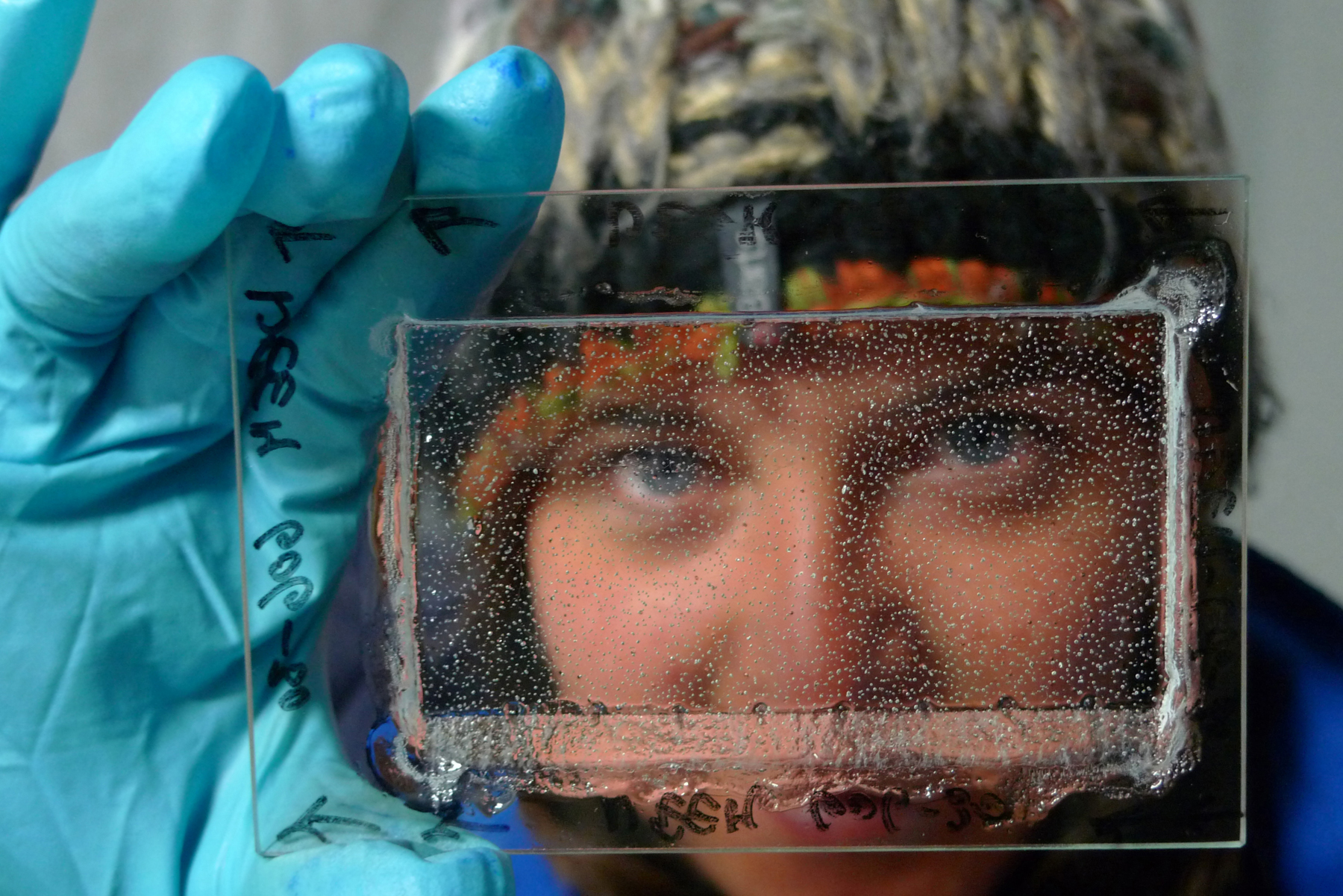 Emilie Capron, co-author of the study, looking at air bubbles trapped in Antarctic ice.  © Sepp Kipfstuhl, Alfred Wegener Institute. 