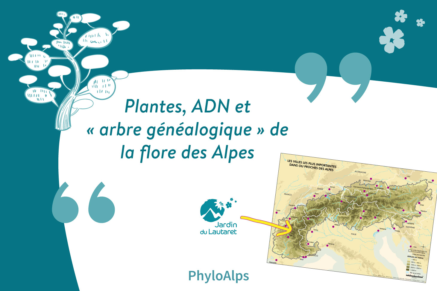 PhyloAlps : Et si on séquençait l'ADN de toute la flore de l'Arc alpin ?