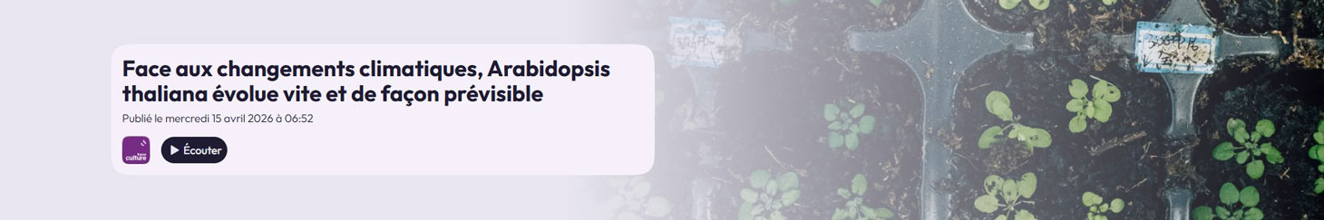 Émission #Avec Siences - France Culture