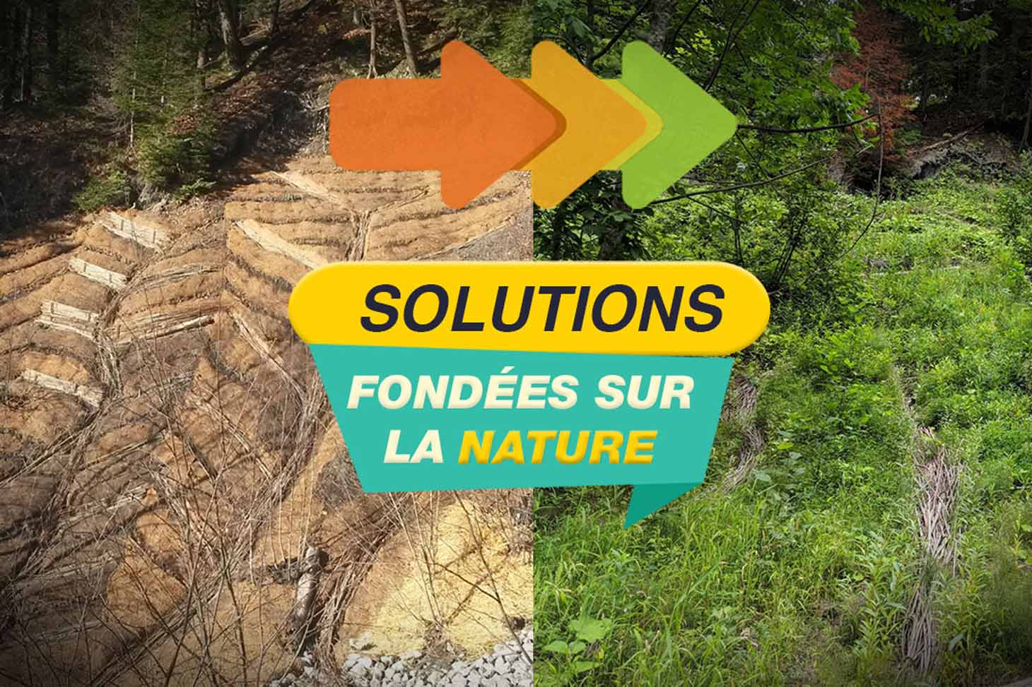 Présentation du Living lab Vivalp